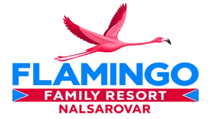 Flamingo - Pooja Chemicals